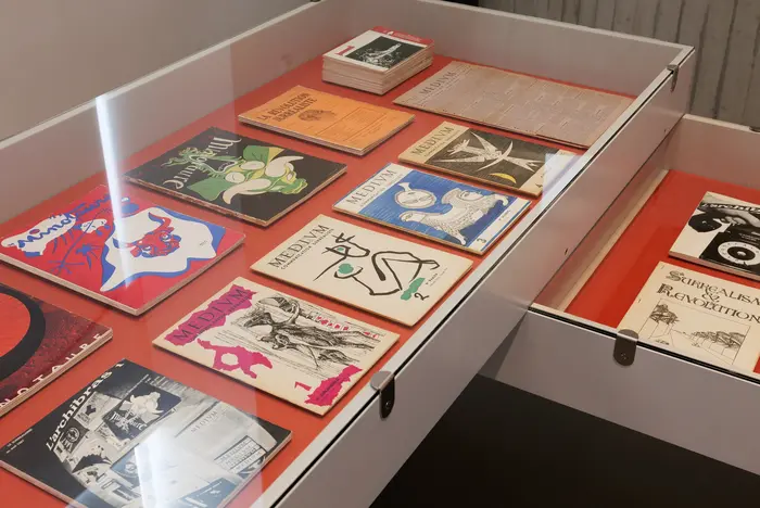 Schaukästen mit orangefarbenem Boden, in denen Broschüren und Magazine ausgestellt sind.e